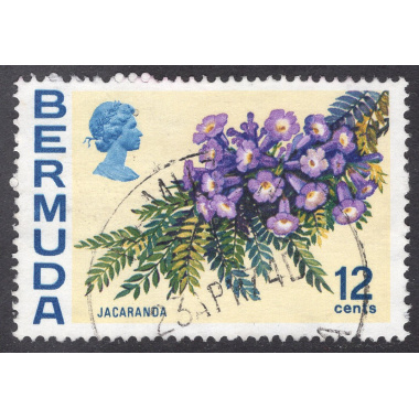 BERMUDA SCOTT 263