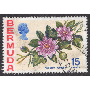 BERMUDA SCOTT 264