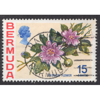 BERMUDA SCOTT 264