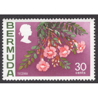 BERMUDA SCOTT 267