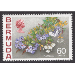 BERMUDA SCOTT 269