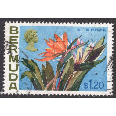 BERMUDA SCOTT 270