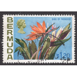 BERMUDA SCOTT 270