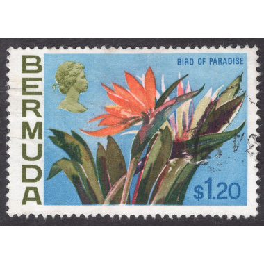 BERMUDA SCOTT 270