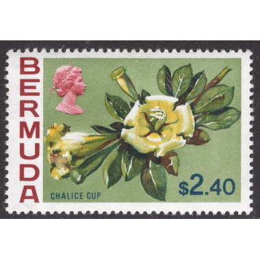 BERMUDA SCOTT 271