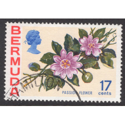 BERMUDA SCOTT 322