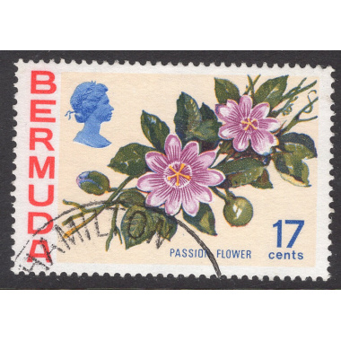 BERMUDA SCOTT 322