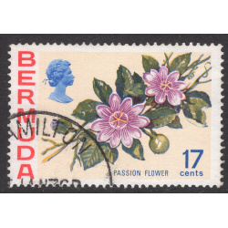 BERMUDA SCOTT 322