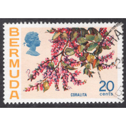 BERMUDA SCOTT 323