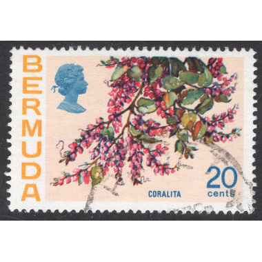 BERMUDA SCOTT 323