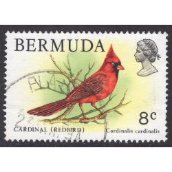 BERMUDA SCOTT 367