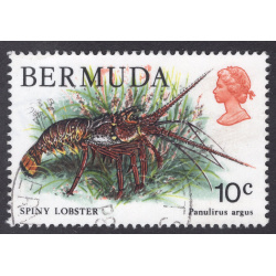 BERMUDA SCOTT 368