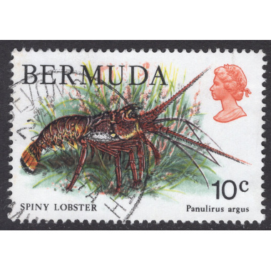BERMUDA SCOTT 368