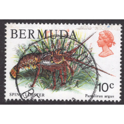 BERMUDA SCOTT 368