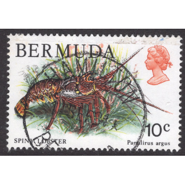 BERMUDA SCOTT 368
