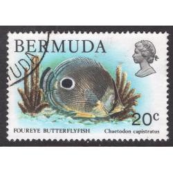 BERMUDA SCOTT 371