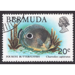 BERMUDA SCOTT 371