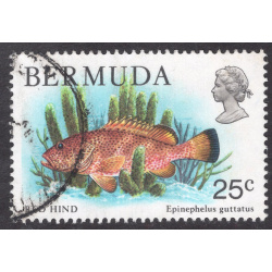 BERMUDA SCOTT 372