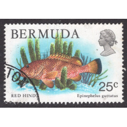 BERMUDA SCOTT 372