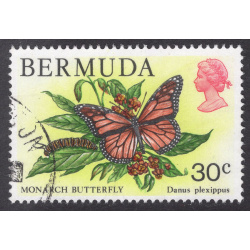 BERMUDA SCOTT 373