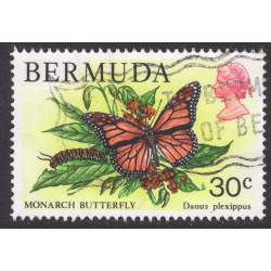 BERMUDA SCOTT 373