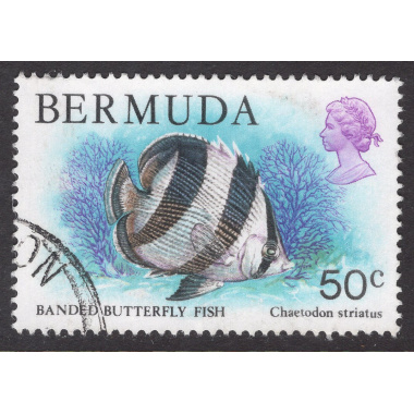 BERMUDA SCOTT 375