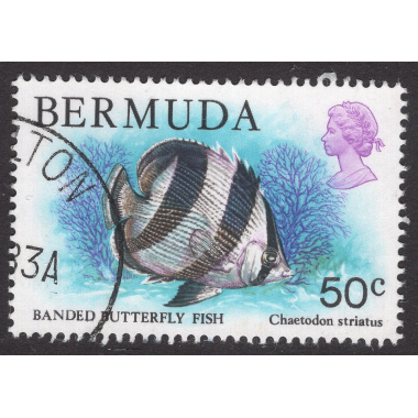 BERMUDA SCOTT 375
