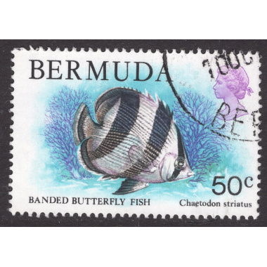 BERMUDA SCOTT 375