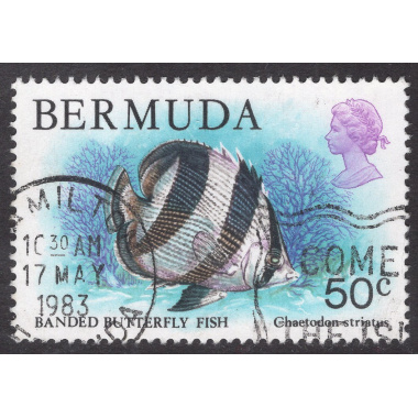 BERMUDA SCOTT 375
