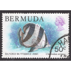 BERMUDA SCOTT 375