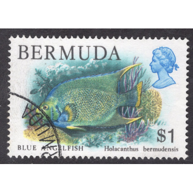 BERMUDA SCOTT 376
