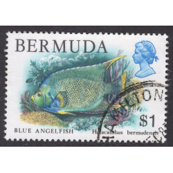 BERMUDA SCOTT 376