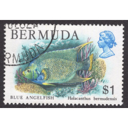 BERMUDA SCOTT 376