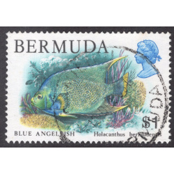 BERMUDA SCOTT 376