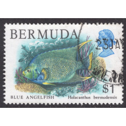 BERMUDA SCOTT 376