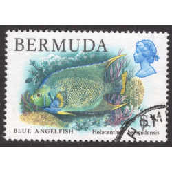 BERMUDA SCOTT 376