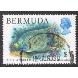 BERMUDA SCOTT 376