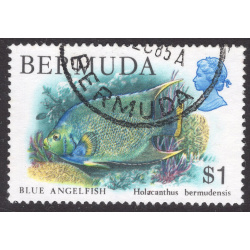 BERMUDA SCOTT 376