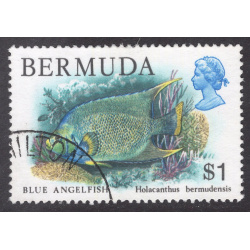 BERMUDA SCOTT 376
