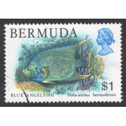 BERMUDA SCOTT 376