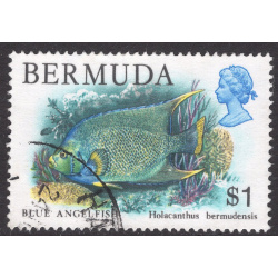 BERMUDA SCOTT 376