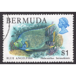 BERMUDA SCOTT 376