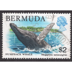 BERMUDA SCOTT 377