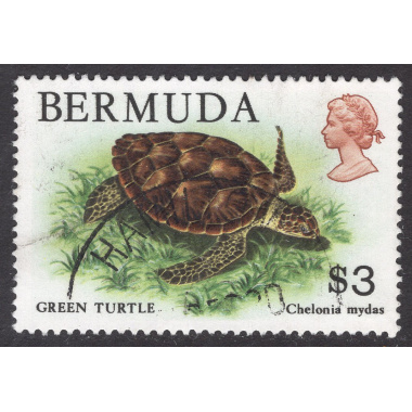 BERMUDA SCOTT 378