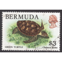BERMUDA SCOTT 378