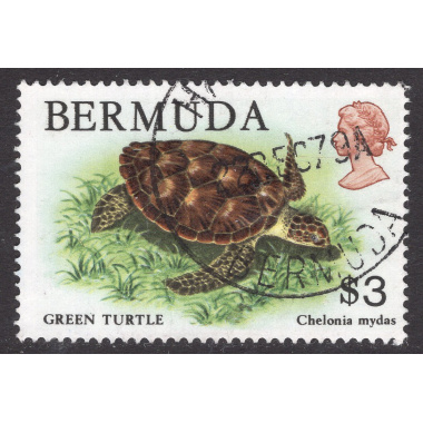 BERMUDA SCOTT 378