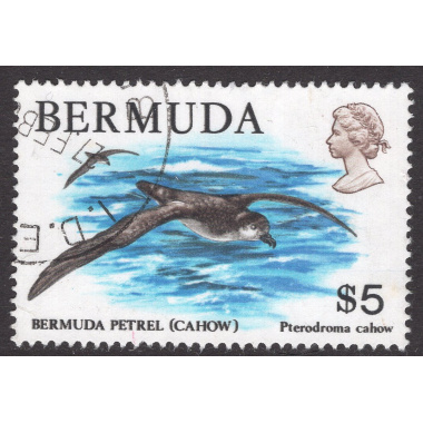 BERMUDA SCOTT 379