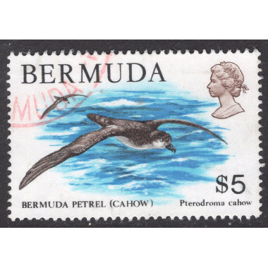 BERMUDA SCOTT 379