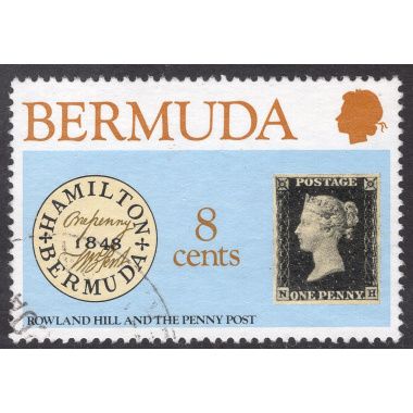 BERMUDA SCOTT 389