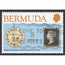 BERMUDA SCOTT 389